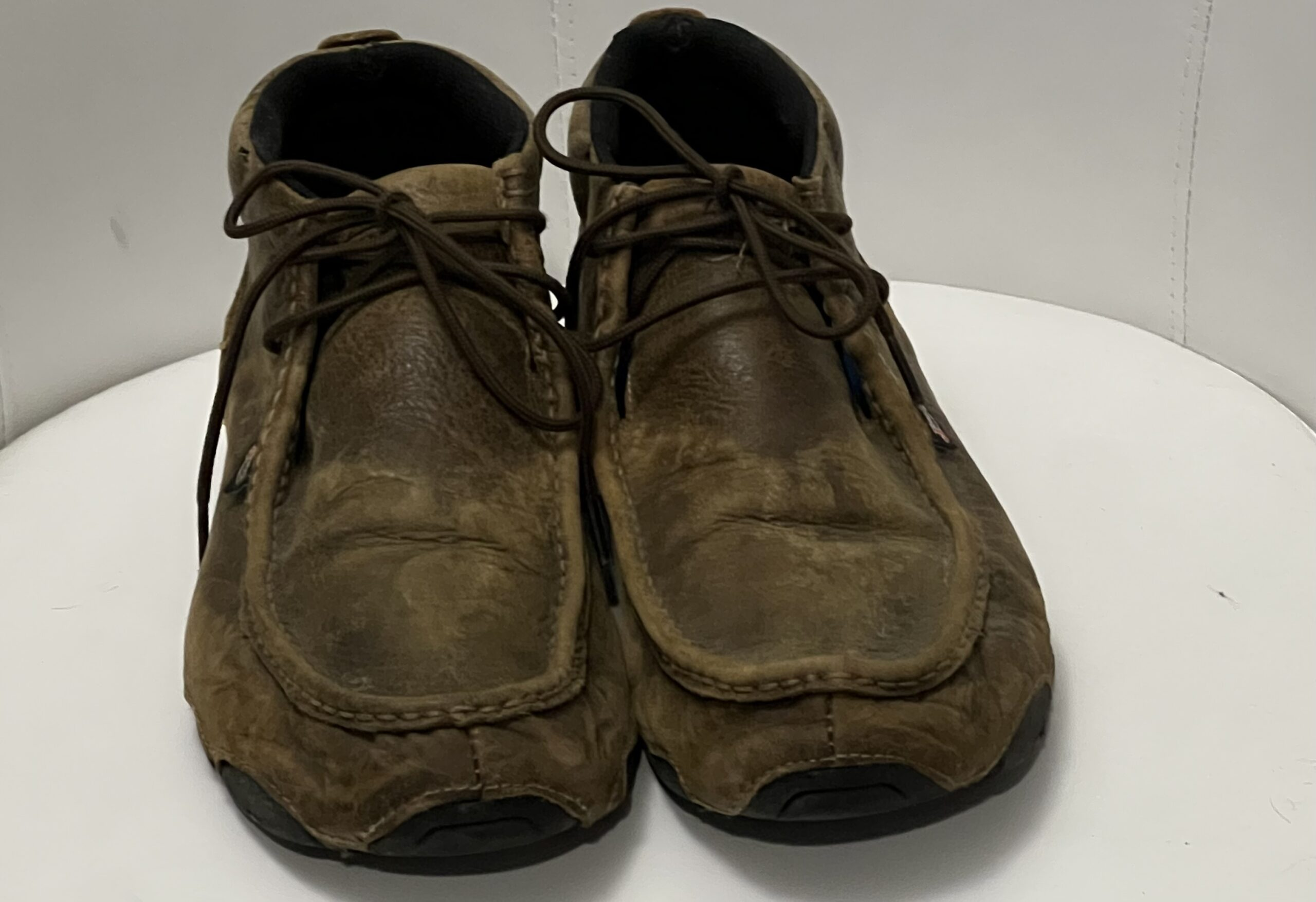 image_2025-12-29_100524244